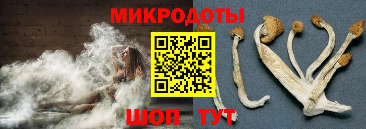 Галлюциногенные грибы MAGIC MUSHROOMS Родники